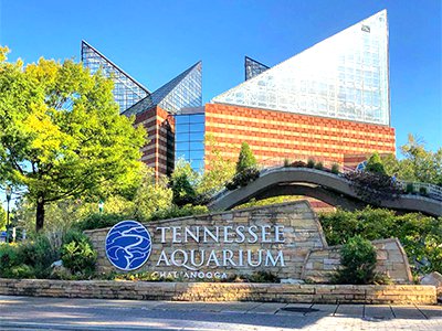 Tennessee Aquarium.png