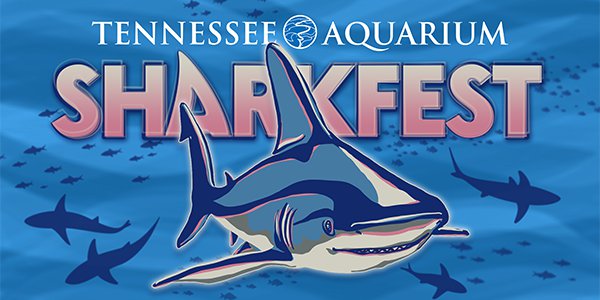 Sharkfest Logo.png
