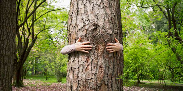 World Record Tree Hug.png