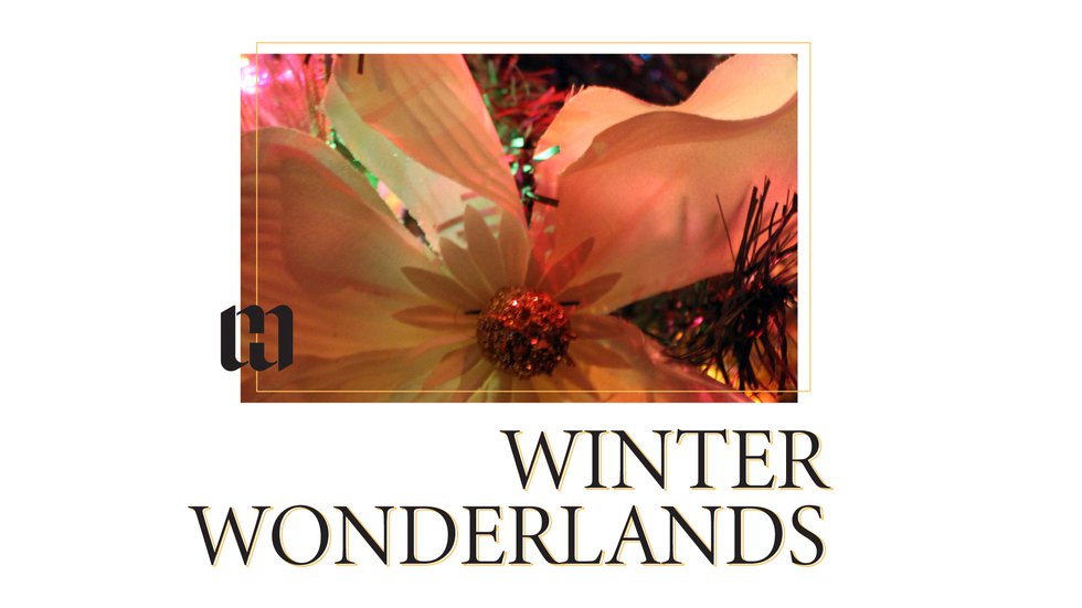 Winter-Wonderlansa.jpg