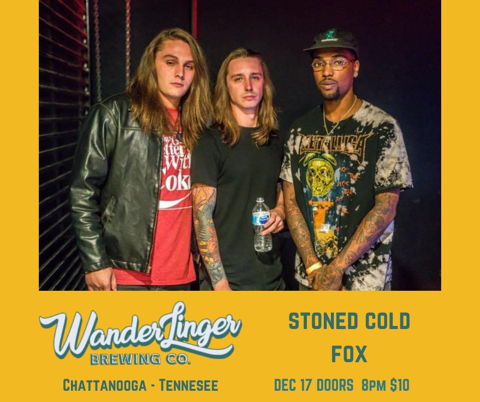 Stoned Cold Fox (Facebook Post)