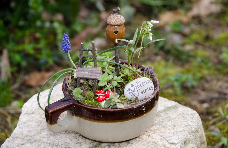 Garden Crafts- Tea Cup Fairy Gardens.png