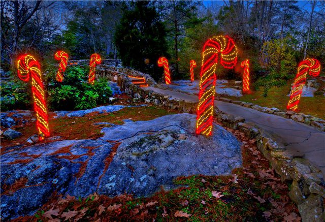 Rock City S Enchanted Garden Of Lights The Pulse Chattanooga S