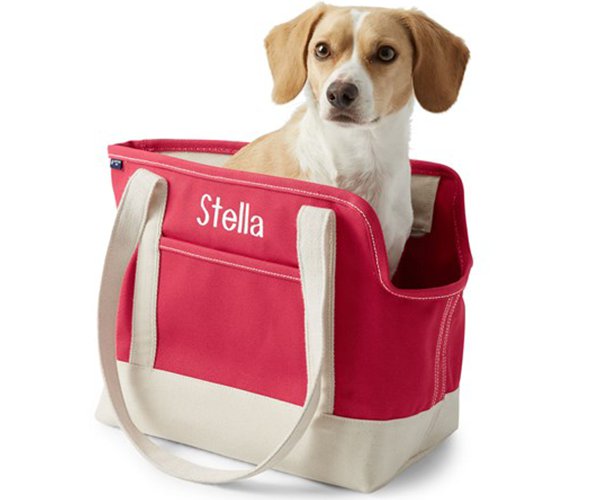 canvas-tote-pet-carrier.png