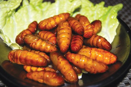 Roasted Silk Worms