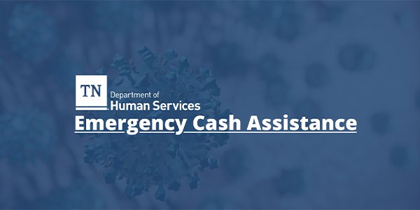 cash assistance 1.png