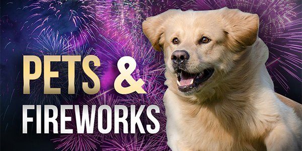 pets and fireworks 1.png