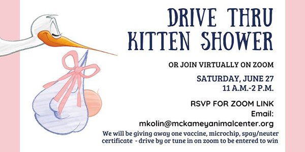 Virtual Kitten Shower.png