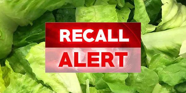 lettuce recall 1.png