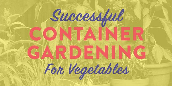 Successful Container Gardening For Vegetables.png
