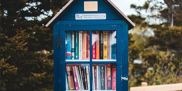 How to Host a Neighborhood Little Library.png