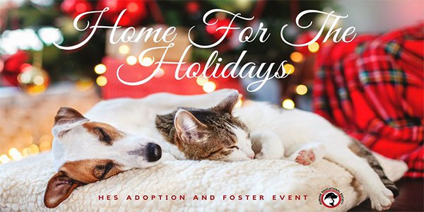 Home for The Holidays Adoption and Foster Event.png