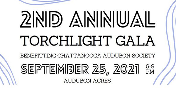 2nd Annual Torchlight Gala.png
