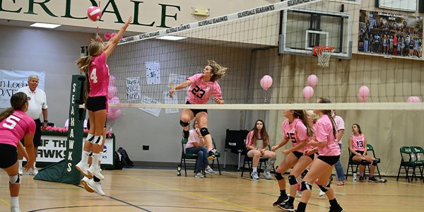 Pink Out volleyball 1.png