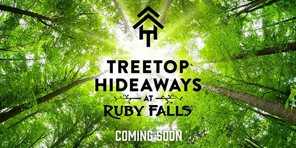 Treetop Hideaways 1.png