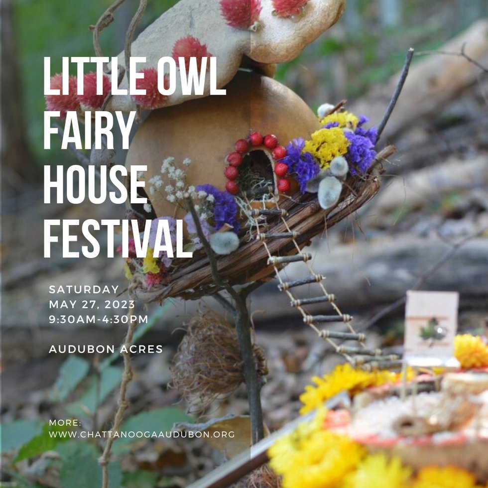 Little Owl Fairy House Festival - 1