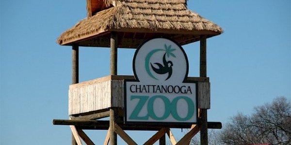 Chattanooga Zoo 1.png