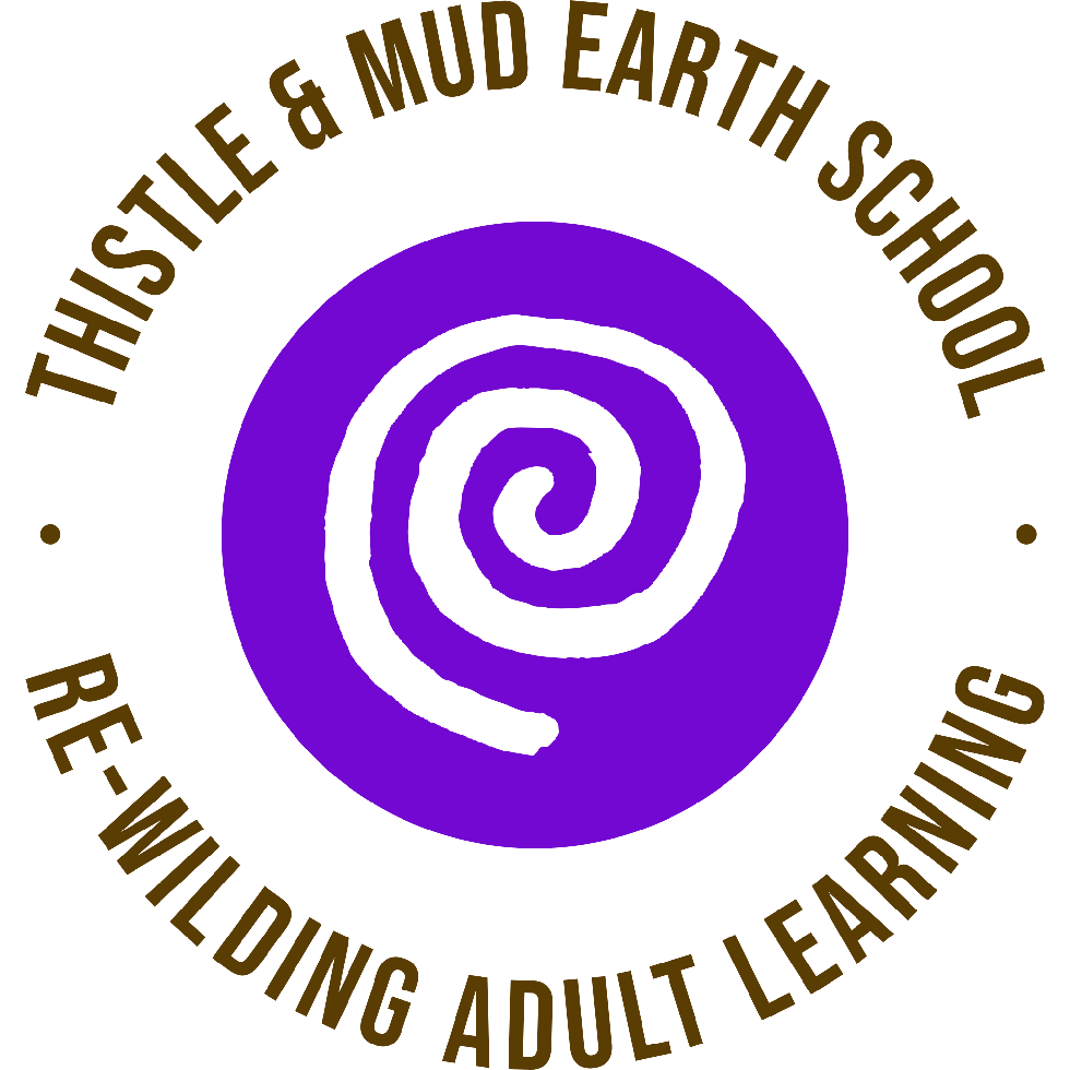 thistle--mud-earth-school-high-resolution-logo-transparent.png