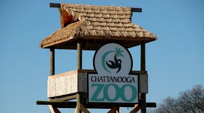 Chattannooga Zoo 1.png