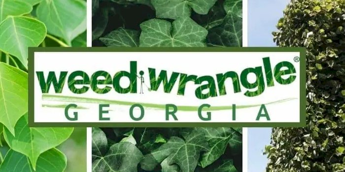 weed wrangle 1.png