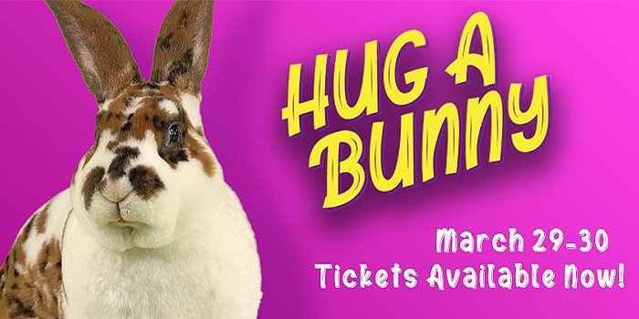 hug a bunny 1.png