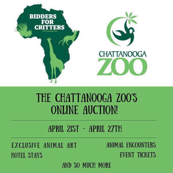 Bidders for Critters IG Graphic - 1