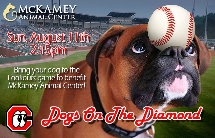 Dogs on the Diamond at the Chattanooga Lookouts August