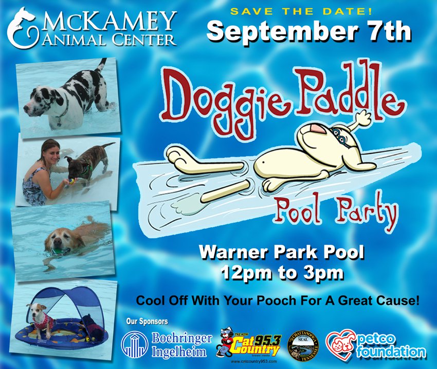Doggie Paddle Pool Party