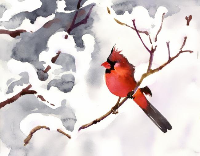 Cardinal in snow.jpg