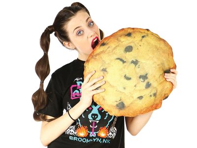 cookie pillow.png