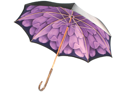umbrella.png
